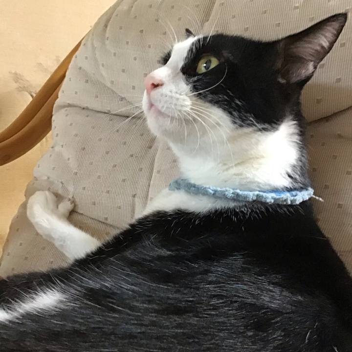 3f124242 b011 4f2c 978d 9cfbd5437568 1663320105575