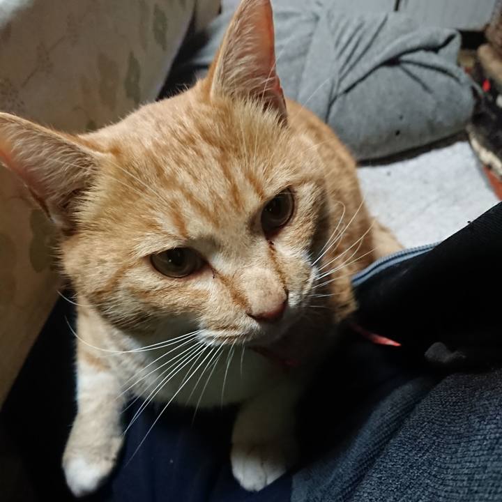 3f125965 db85 4d8d bf57 f917449c0a87 1574985672530