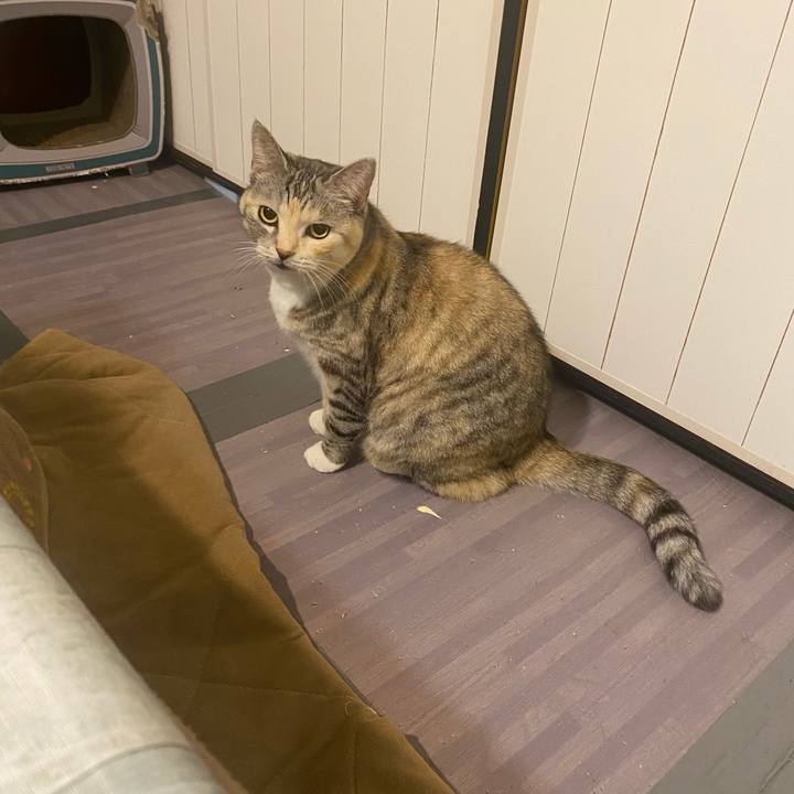 3f125e94 80e6 41ba b3d0 273ced6bc429 1669215373107