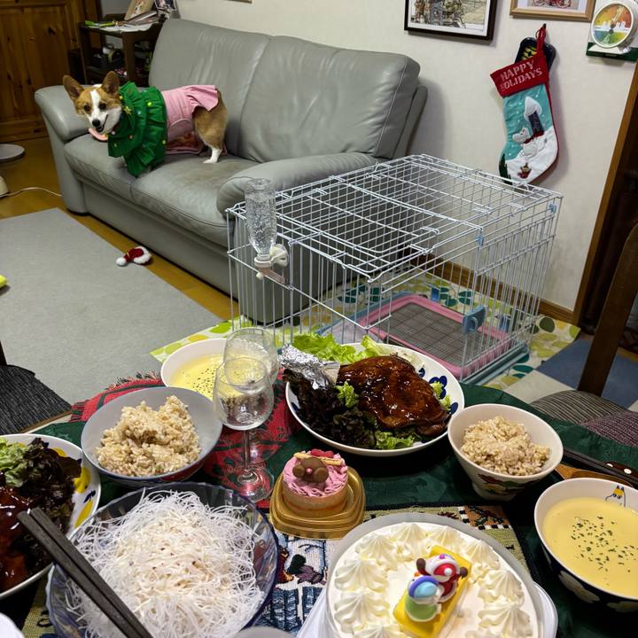 3f1268fd af67 4aff 9db7 4ce949366910 1766597259097