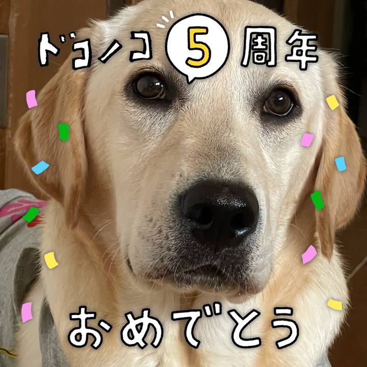 3f129cb6 9988 4988 815b fb069efe1d89 1623048729796