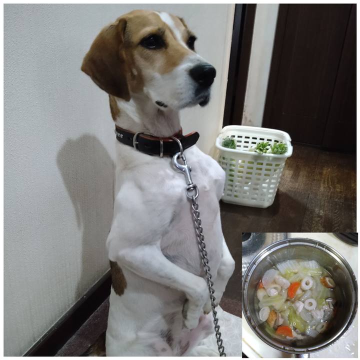 3f13163c 2aca 42d5 838e 535d369fd036 1632993987503