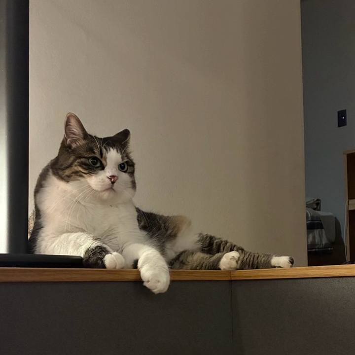 3f131f01 0533 494b 95a5 ca39f260ff16 1758628266851