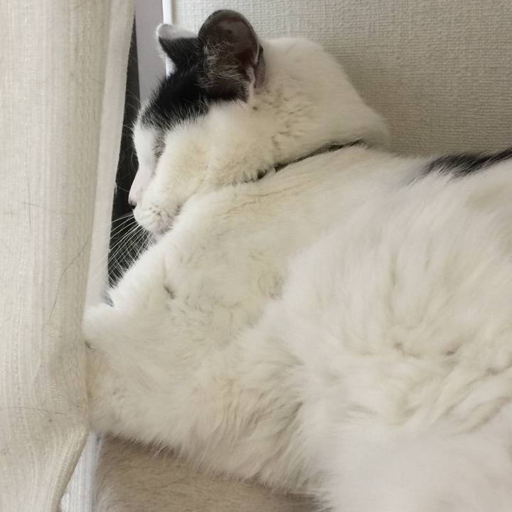 3f133548 f0d1 492c bfe4 27f5d3ff74bd 1507850307310