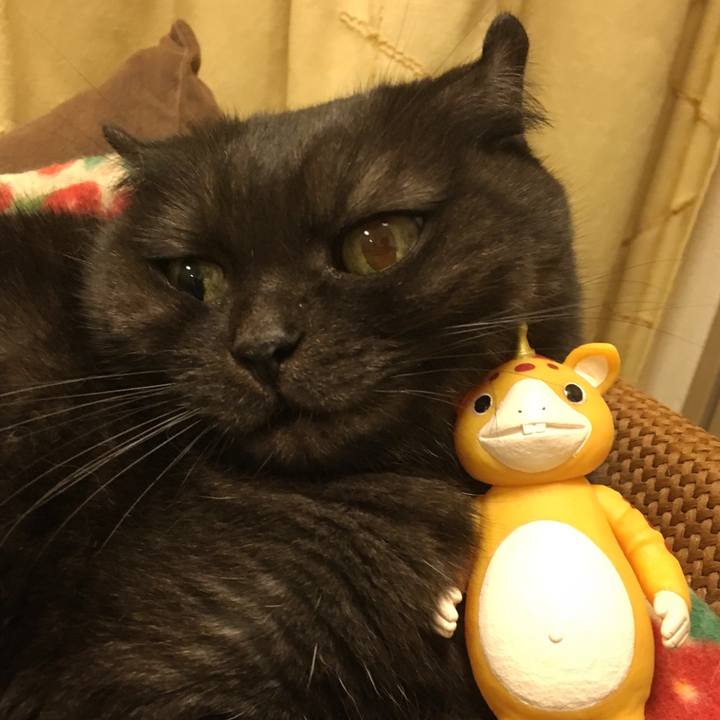 3f1365ab 100a 4eba a865 bf2718359947 1540816874642