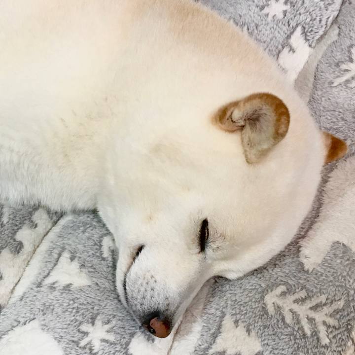 3f137176 cd07 4c9a 9a9d 594f08a325a1 1618328151082