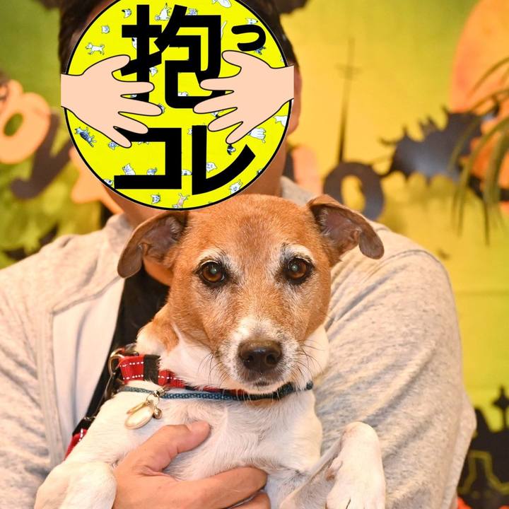 3f137d26 8a70 4c5b a7bb 728bfa016d70 1761475803147