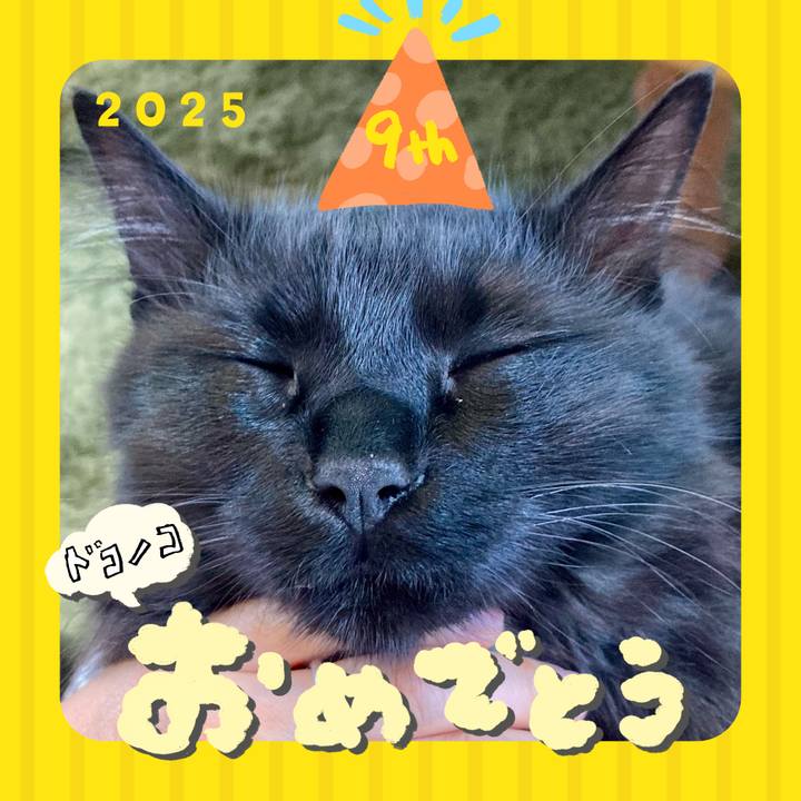 3f138b52 11c8 46ee 8bfd 7e58a934c555 1749275301203