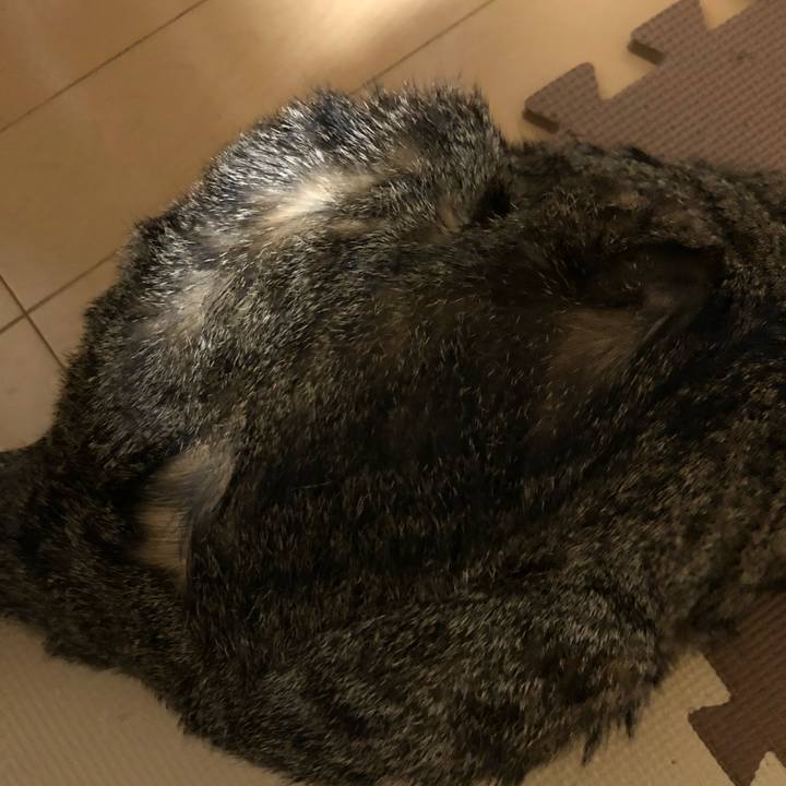 3f138f4f 1b97 492b b311 86e5e2e1e3a6 1517832706615