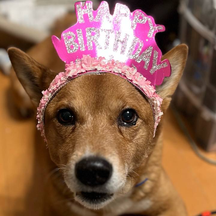 3f1396df 2708 4b32 9cc6 56c8fb0bf84e 1704970855649