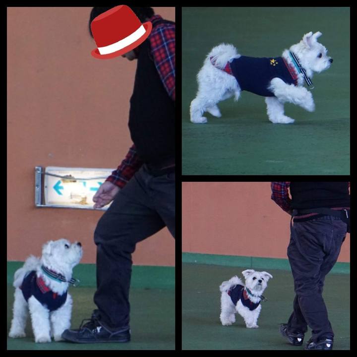 3f139a0f 08e5 4b31 998d 7c3e91bed66f 1543809632390