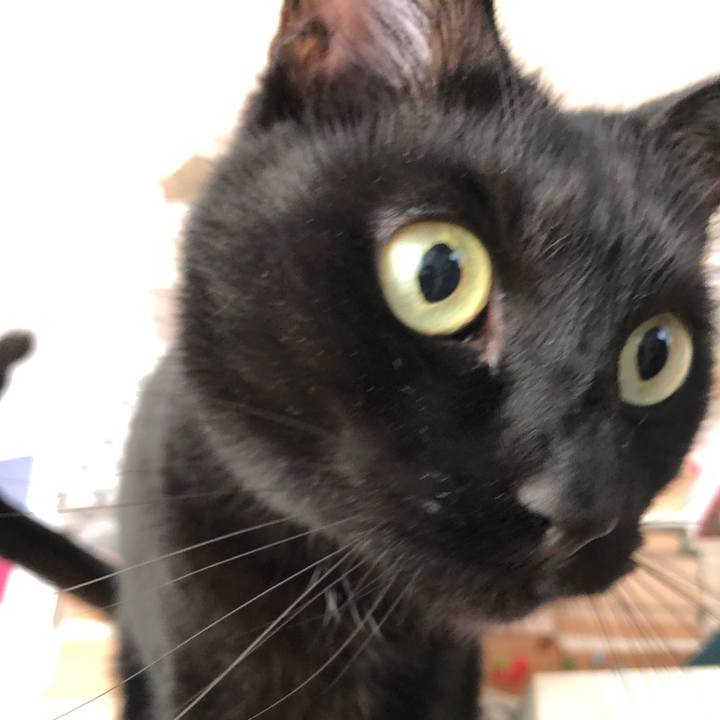 3f13fc4b ef84 42e8 96b2 a42ff01a3278 1583547107202