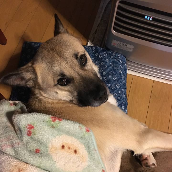 3f140d82 575c 4438 9476 c86797060911 1516625025810