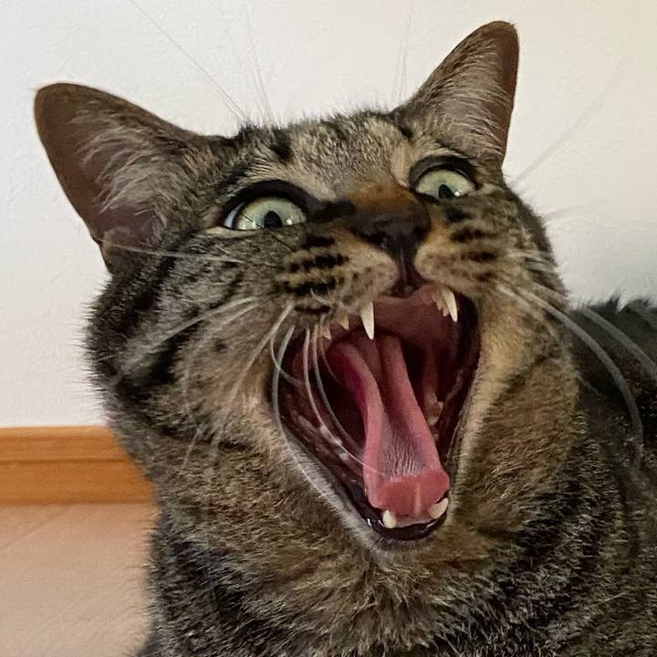 3f141675 8f21 46d9 a921 55eff7d02e05 1687863901217