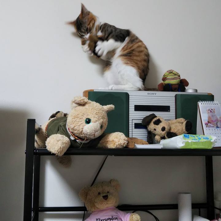 3f143a48 51c2 40a4 9845 f0181bd36403 1637019181770