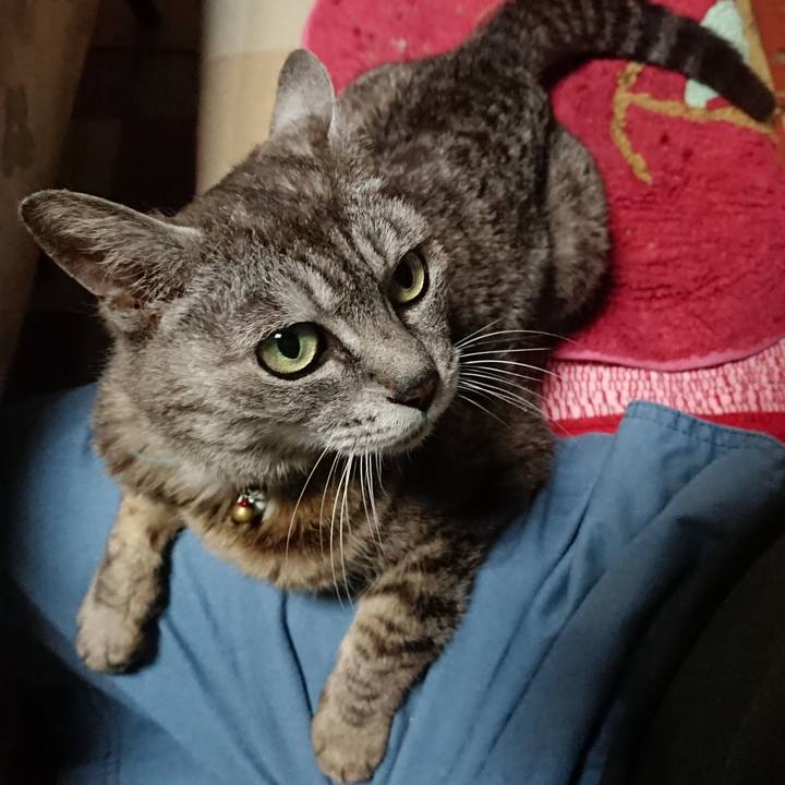 3f14537d 07f3 4ced 8600 a1d5305071fd 1564657000282