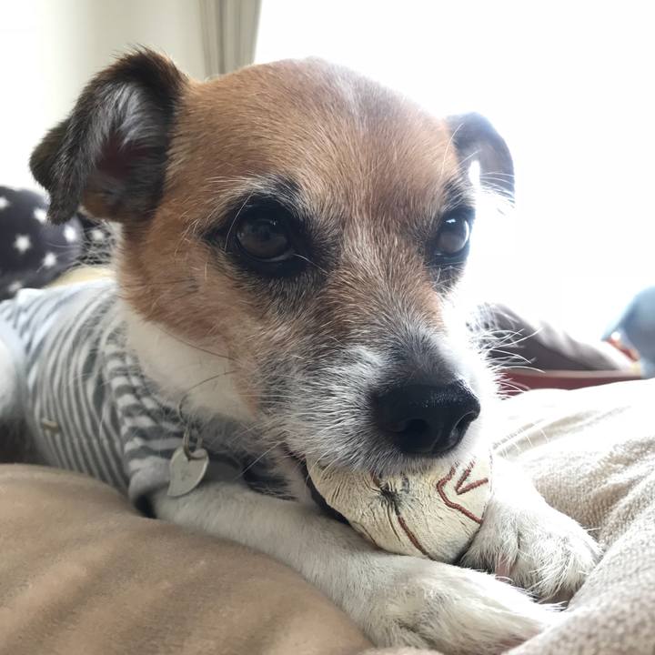 3f146529 05fa 4622 9fec 30417ecba650 1527298432690