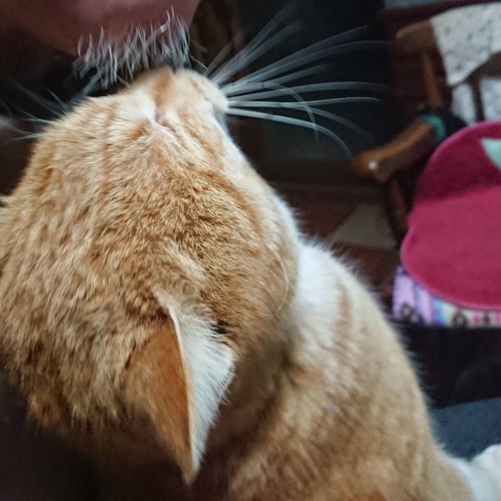 3f14a14e c5bc 4f8b a857 a854c4000b28 1580850648093