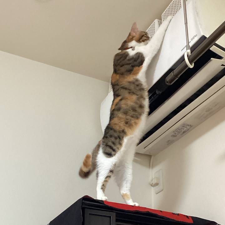 3f14abd5 798e 42e4 bbee 0861d326887e 1661742863521