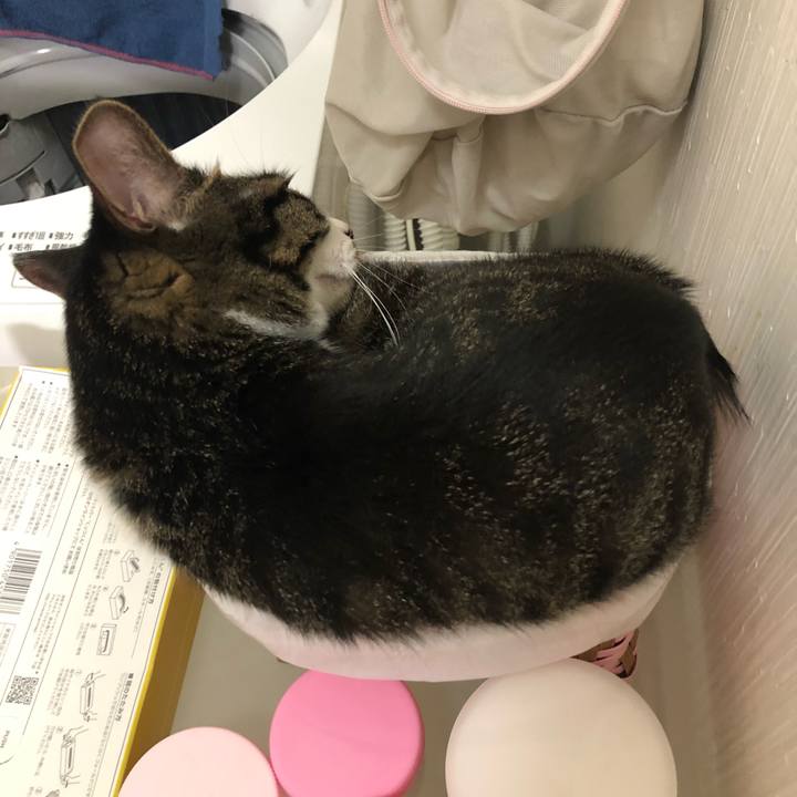 3f14bb87 9e40 424d 87d9 253041dc4074 1534453016091