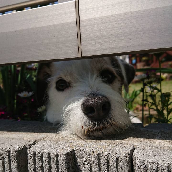 3f14c73c 8af4 49cc 9762 53f4775baa3a 1523230594702