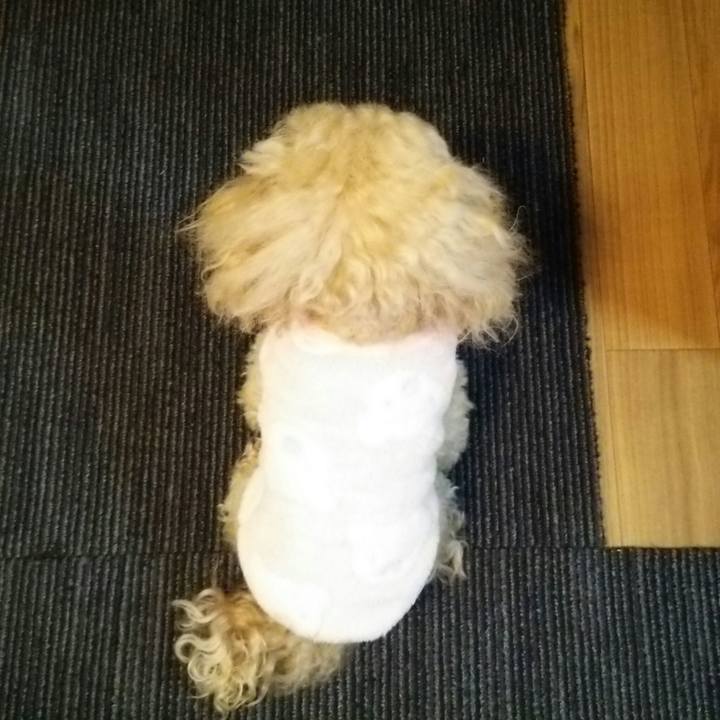 3f14f871 10b0 41ae bdf0 77ada743acb6 1550666749741