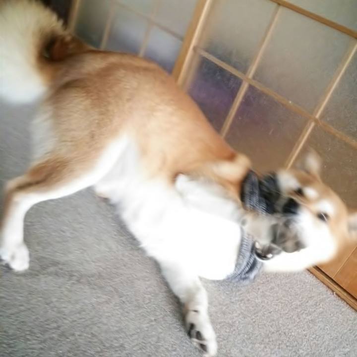 3f153391 a94b 4337 801a 15ad9205698e 1516419687683