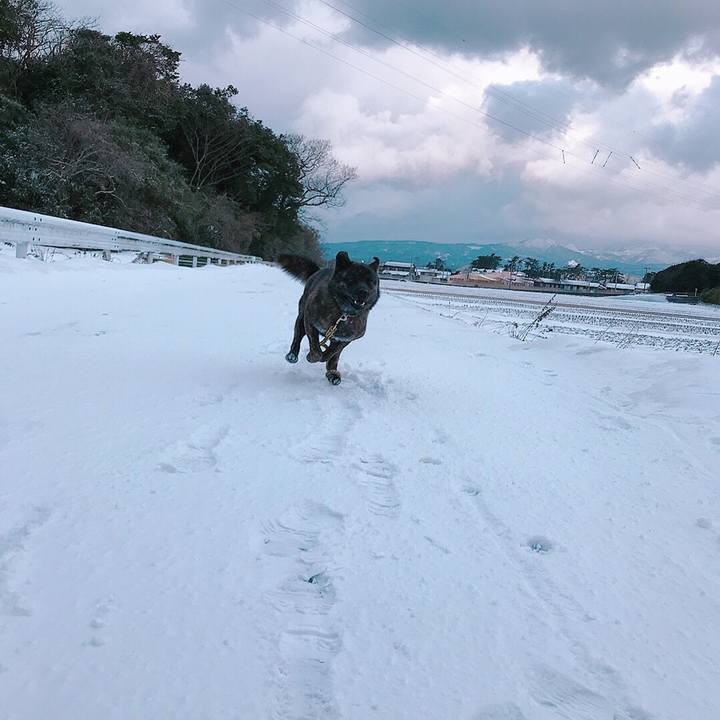 3f155cd9 097f 4c7d aa89 5e386402c512 1518909729254