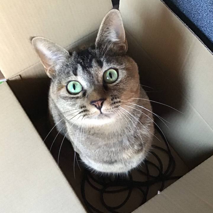 3f155e17 0653 4a78 b0f2 8ca50fb6a332 1612682474766