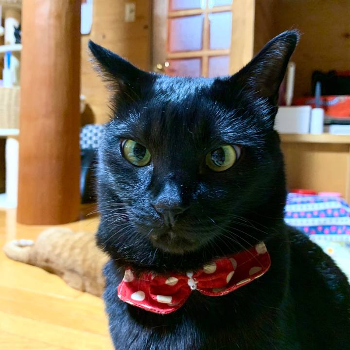 3f1564fa dc8d 4983 9e8f 7d8306e2dfef 1590838918310