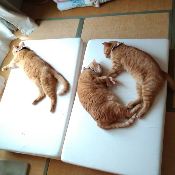 3f156661 1ad4 4bf0 91b6 6f954b4e2fce 1599628290595