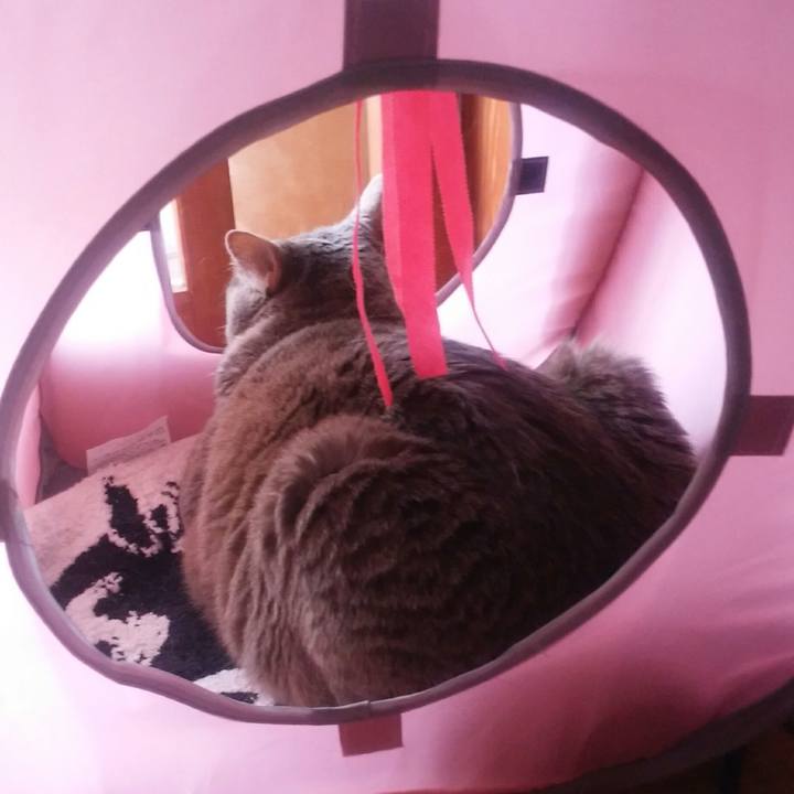 3f156d57 6abe 4e89 8c54 b2df6ff4f107 1522897275059