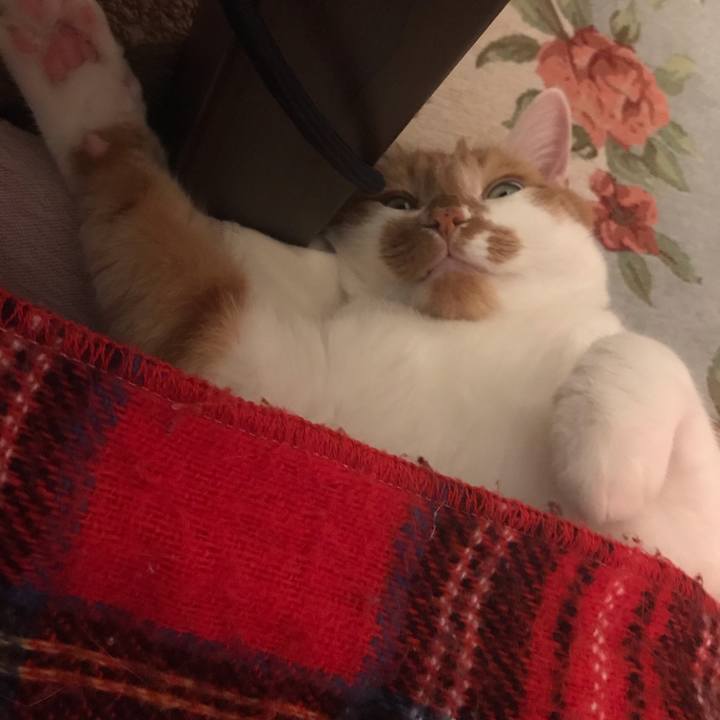 3f158a7e b0c3 4d3c 8079 ea0dc4301a40 1577177690922