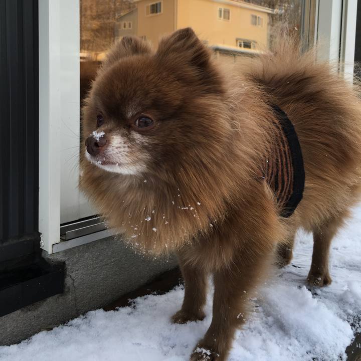 3f15a02a 6345 4968 a341 2b6092402fae 1511063963134