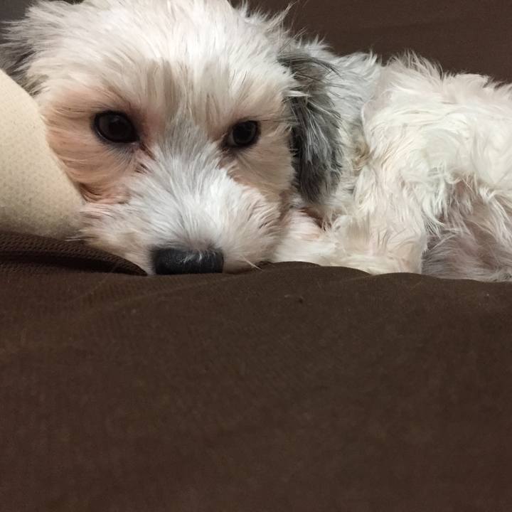 3f15b2f1 cb92 4e9f 922a e80d1ad9bac2 1509009015944