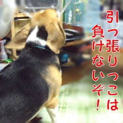 3f15bbc9 2b29 4970 ac12 1d954c068ca6 1693181395182