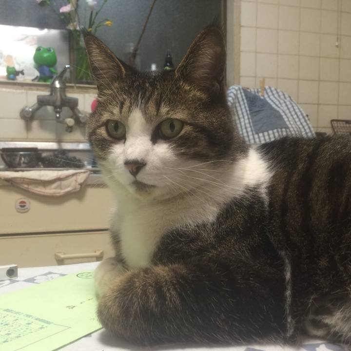 3f15c311 11ce 42cb 8288 c4e7abc831f2 1552401757778