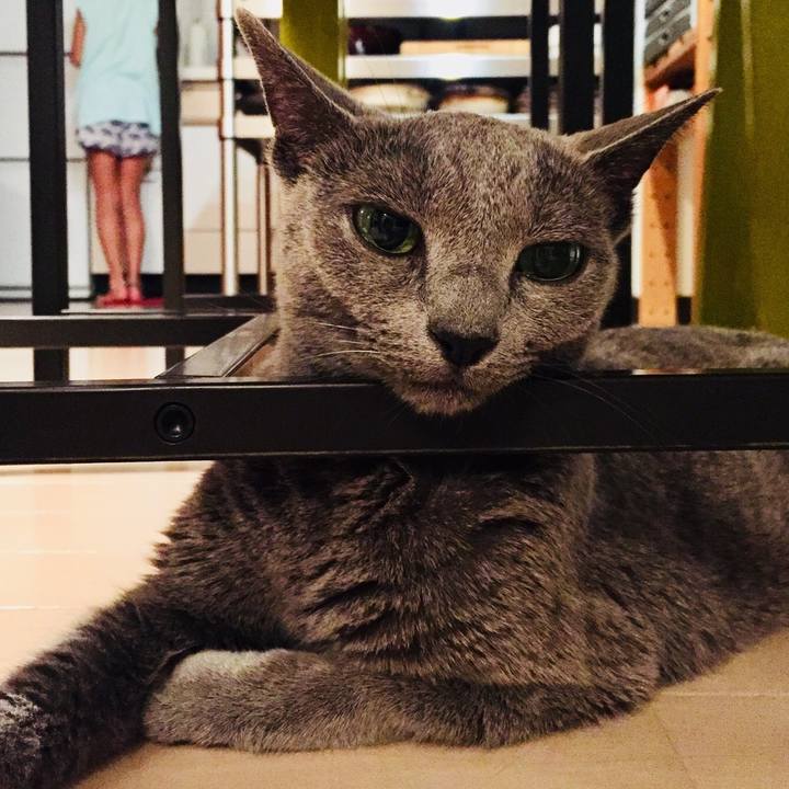 3f15ca57 2c3a 4f91 9209 fa32440f4bc4 1535887702554