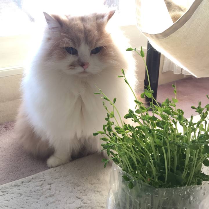 3f160a0d 582b 444f 9b84 2bbc9f9ce9f7 1517280447254