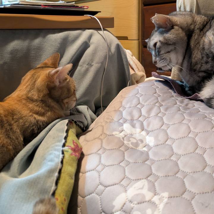 3f165008 34c5 49c8 af32 5af14c0047ef 1764868623207