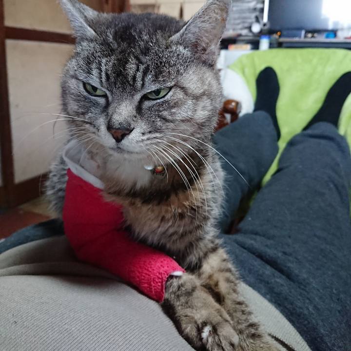 3f16d237 1887 4cb8 b83f 390a3e42683e 1586670789377