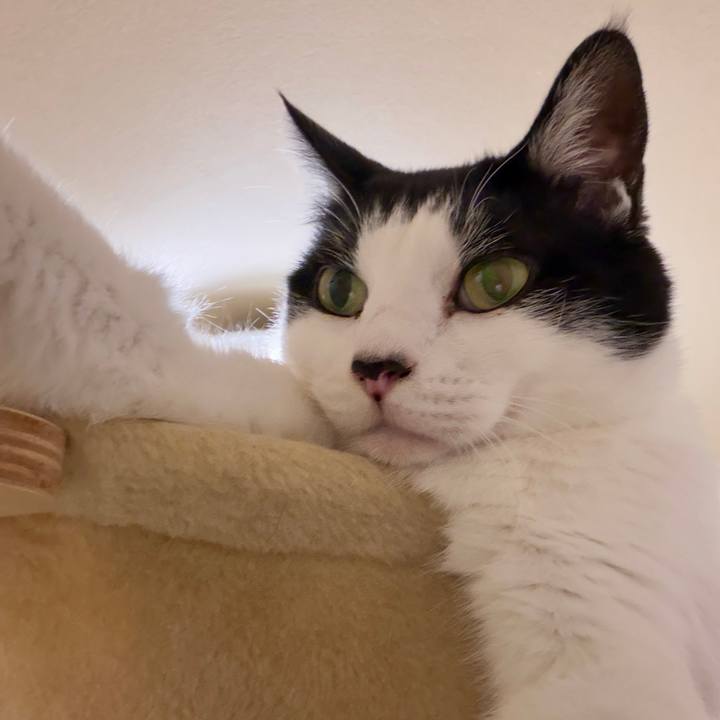 3f16d8a2 f9f4 47bc bd93 bfcf5beae346 1762536488525