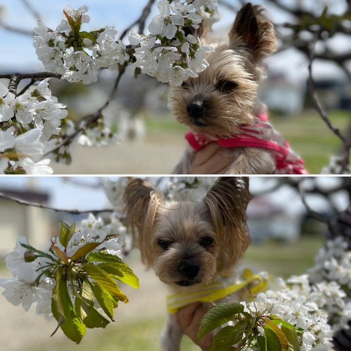 3f16dd2a 9612 4fb7 937d b4f2f3b8e0f8 1683535804418