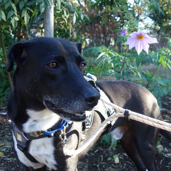 3f16df8a 3f55 40d3 939e e08bcfe99ec3 1637713475494