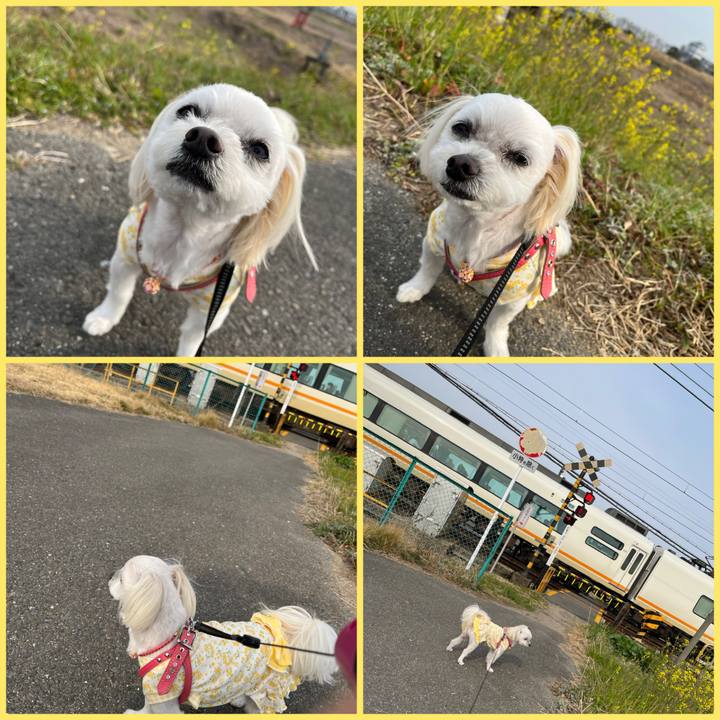 3f170859 beda 4bd0 ac62 1f40c9cd7259 1678343486331