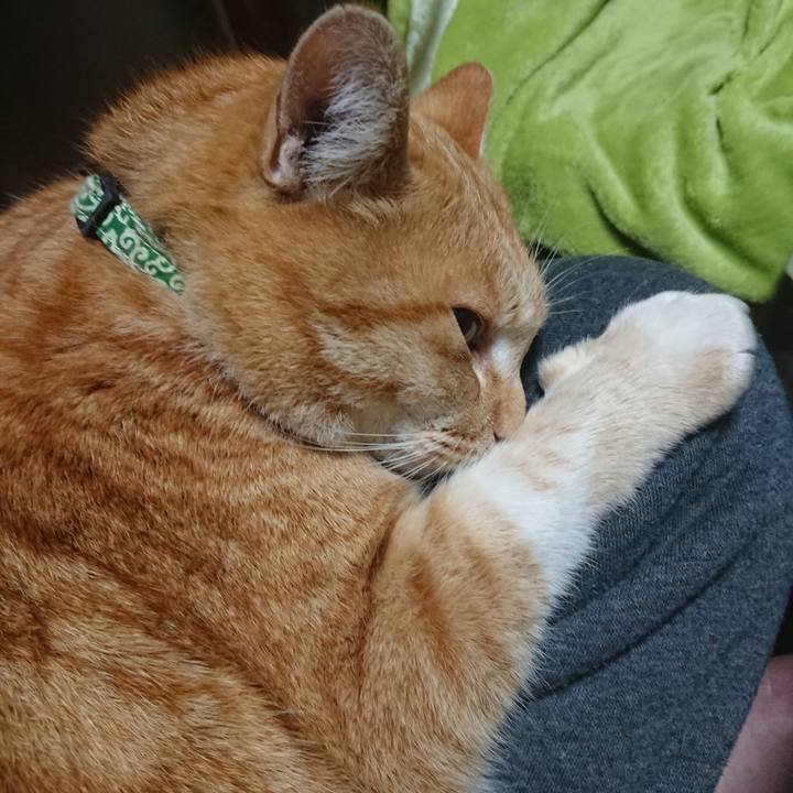 3f170d3c ad82 4085 a989 10ed02473501 1583093897782