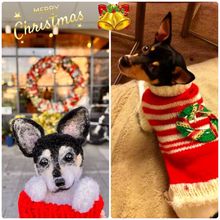 3f1731b0 8c71 4b13 83e1 990ed095ea79 1671849280137