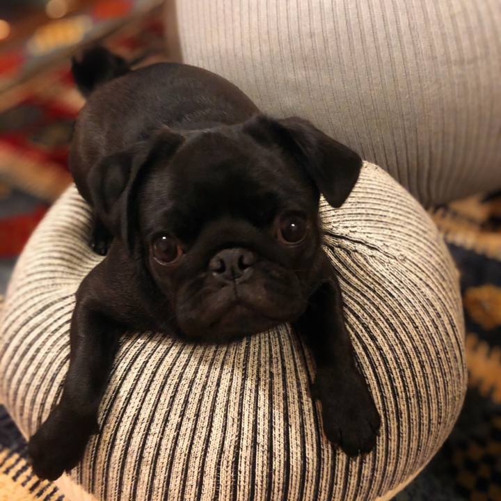 3f1739a2 af6b 4422 876c 9f04b24f4e2d 1606305901281