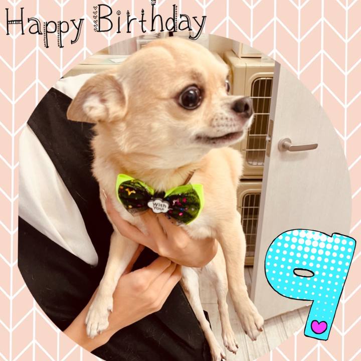 3f1765e5 6d81 495e be9f ed1b19e80999 1663025914737