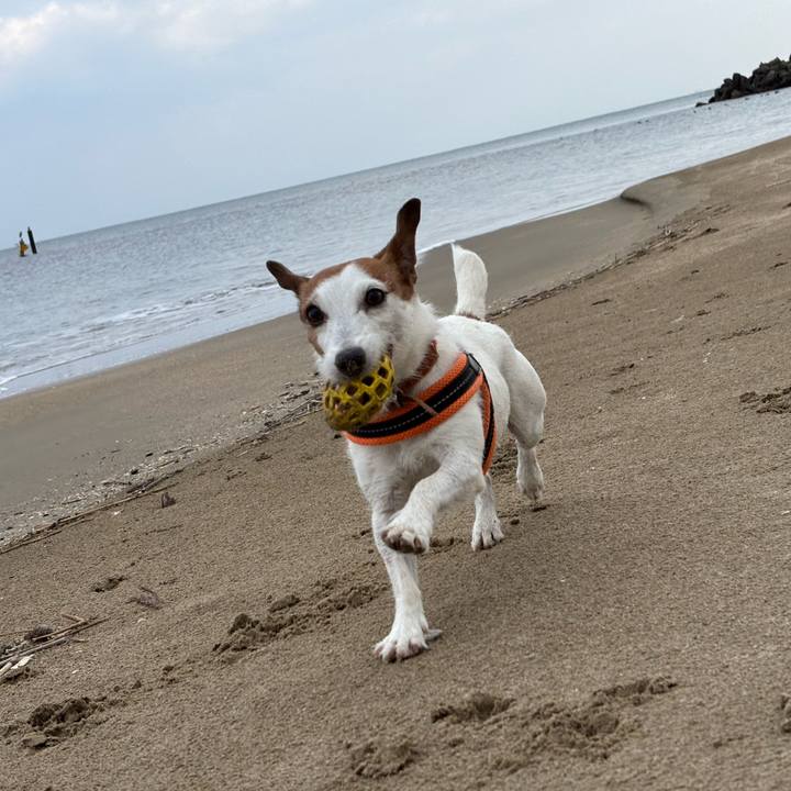 3f179dc5 4773 4c51 b013 4c900740a6c8 1768546634505